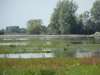 SAM_5910