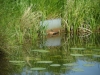 SAM_5920