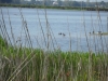 SAM_5931
