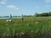 SAM_5933
